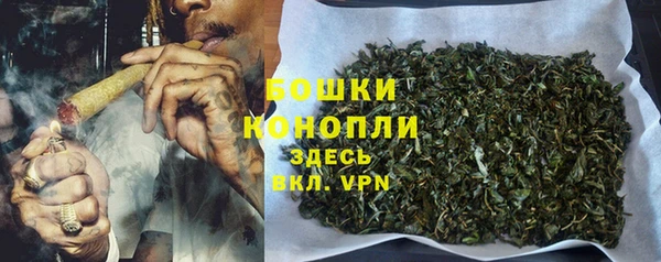 PSILOCYBIN Армянск