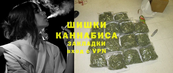 твердый Арсеньев