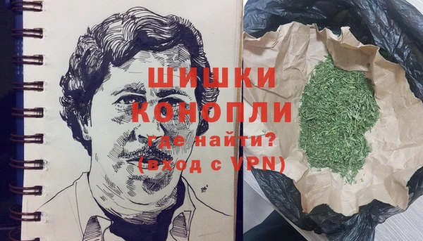 PSILOCYBIN Армянск